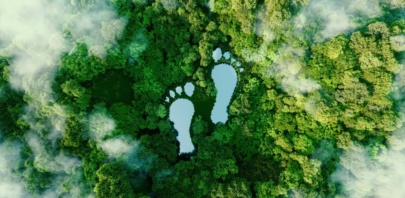 nojs An aerial view of a forest and clouds with two large lake-like footprints to represent carbon footprint.