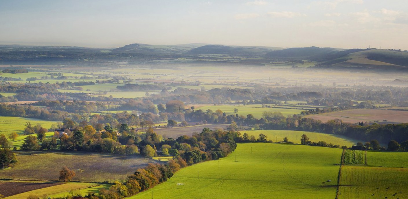 nojs Rolling green fields