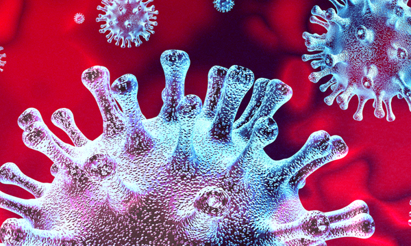 Coronavirus Covid 19 West Sussex County Council