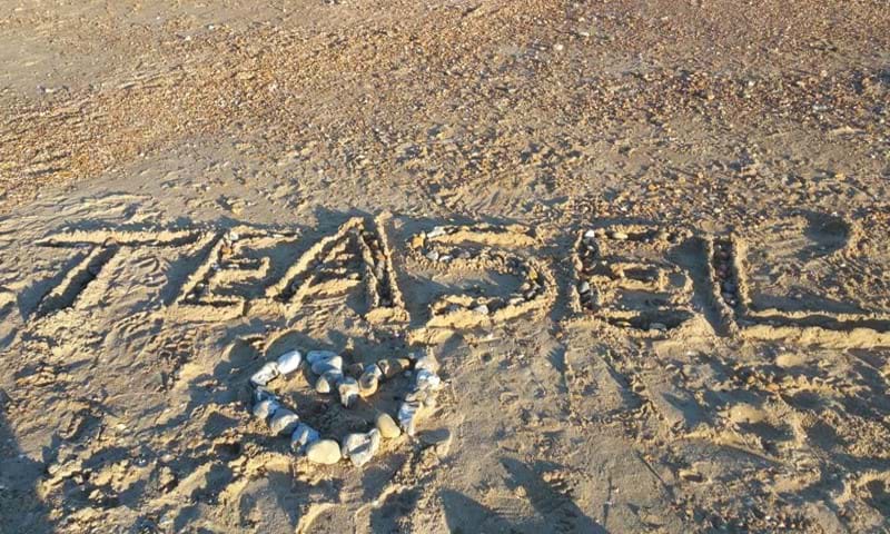 Teasel written in the sand