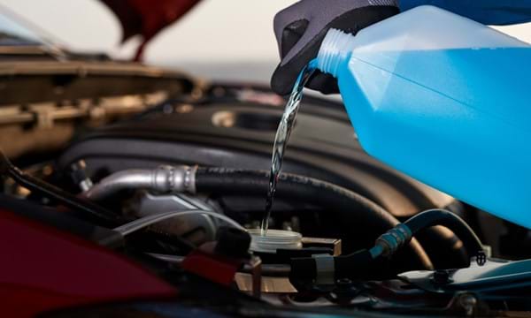 Antifreeze being poured into a car.