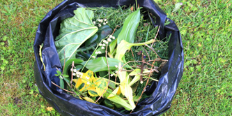 A bag of garden waste.