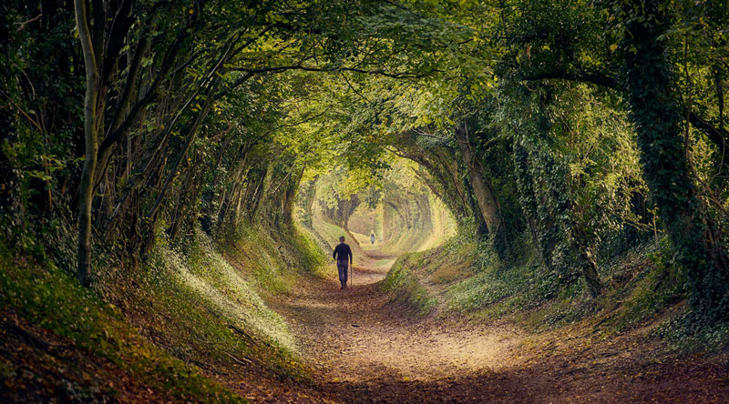 Man walking through an archway of trees
