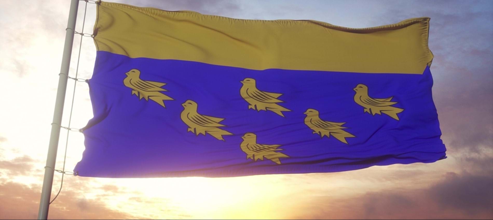 nojs West Sussex flag with sun in background
