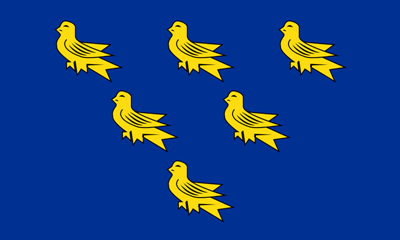 Six yellow Sussex martlets in an upside down triangle on a dark blue background