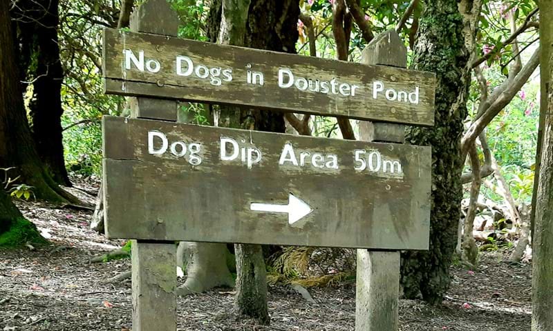 sign stating no dogs in douster pond
