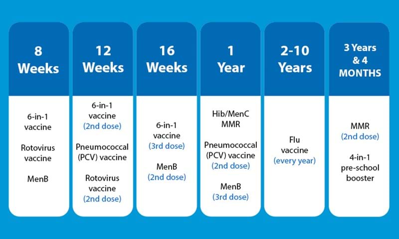 8 weeks: 6-in-1 vaccine, Rotovirus vaccine, MenB. 12 weeks: 6-in-1 vaccine (2nd dose), Pneumococcal (PCV) vaccine, Rotovirus vaccine (2nd dose). 16 weeks: 6-in-1 vaccine (3rd dose), MenB (2nd dose). 1 year: Hib/MenC MMR, Pneumococcal (PCV) vaccine (2nd dose), MenB (3rd dose). 2-10 years: Flu vaccine (every year). 3 years & 4 months: MMR (2nd dose), 4-in-1 pre-school booster.