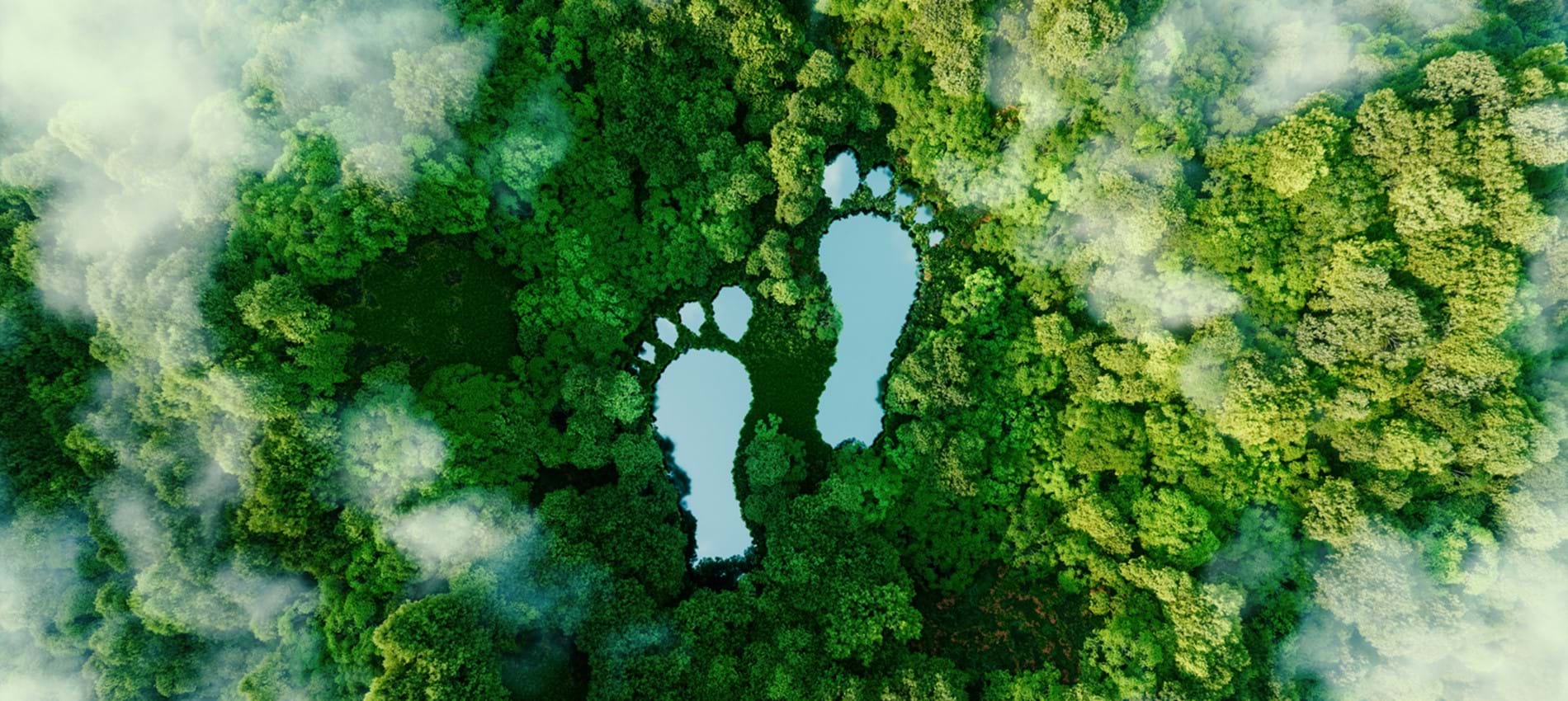 nojs An aerial view of a forest and clouds with two large lake-like footprints to represent carbon footprint.
