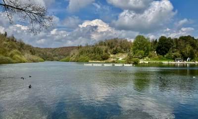 A sunny day in Swanbourne Lake, Arundel