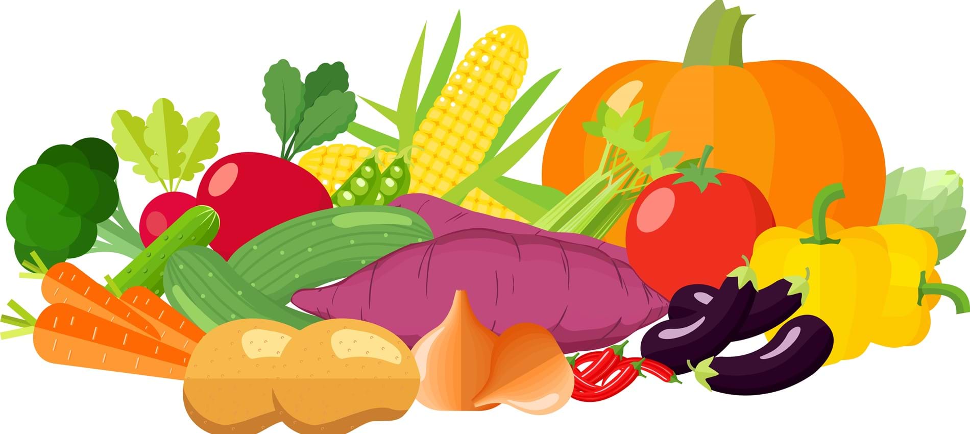 nojs An illustrated group of lots of different vegetables including aubergine, potatoes, carrots, pumpkin, peppers, onion and broccoli.