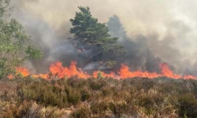 A wildfire on Iping Common in 2018