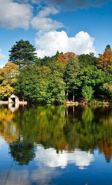 Lake and woods at Buchan Park
