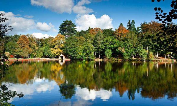 Lake and woods at Buchan Park