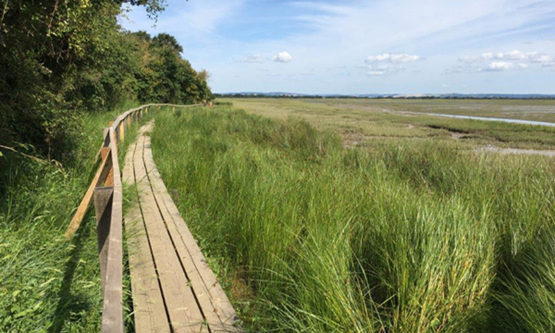 View of Church Norton