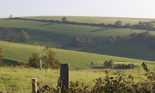 Serpent trail rolling hills