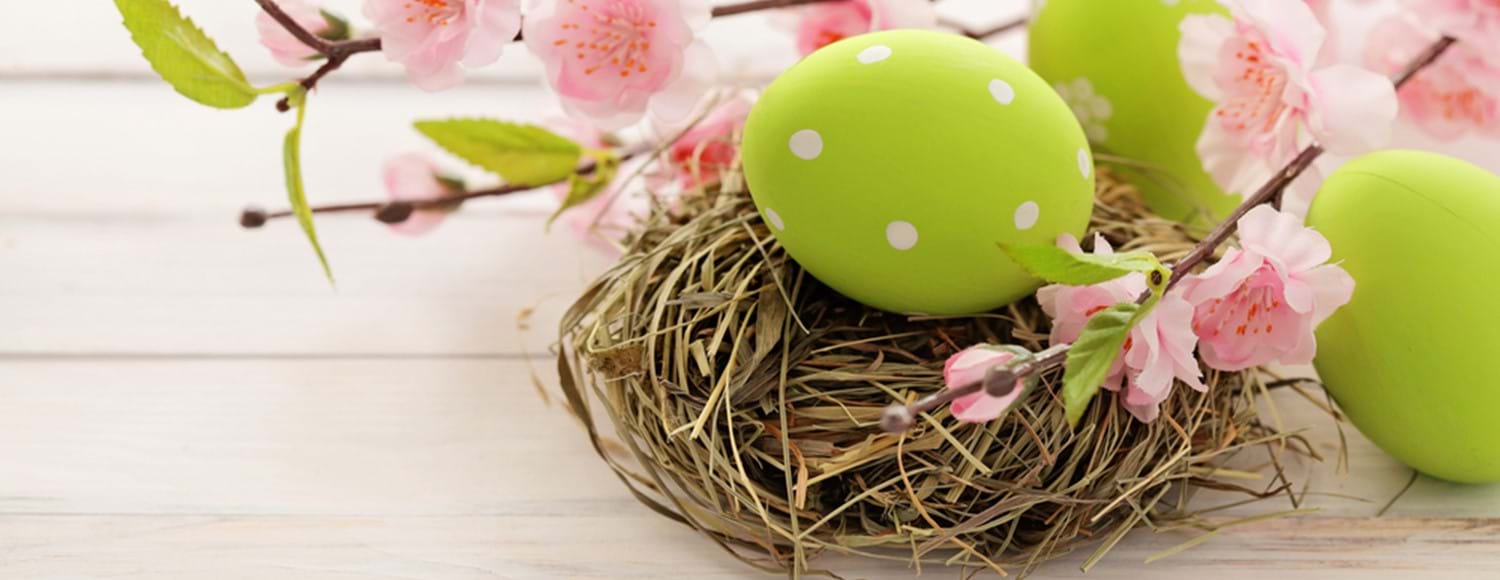 Easter eggs, nest and flowers