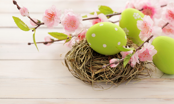 Easter eggs, nest and flowers