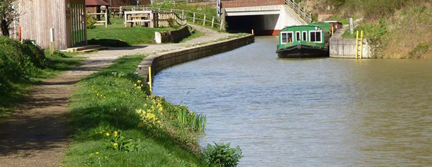 The Wey and Arun canal