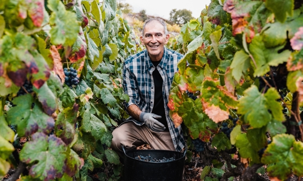 A man stood within the vines