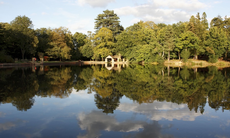 A pond at Buchan Country Park, Crawley 