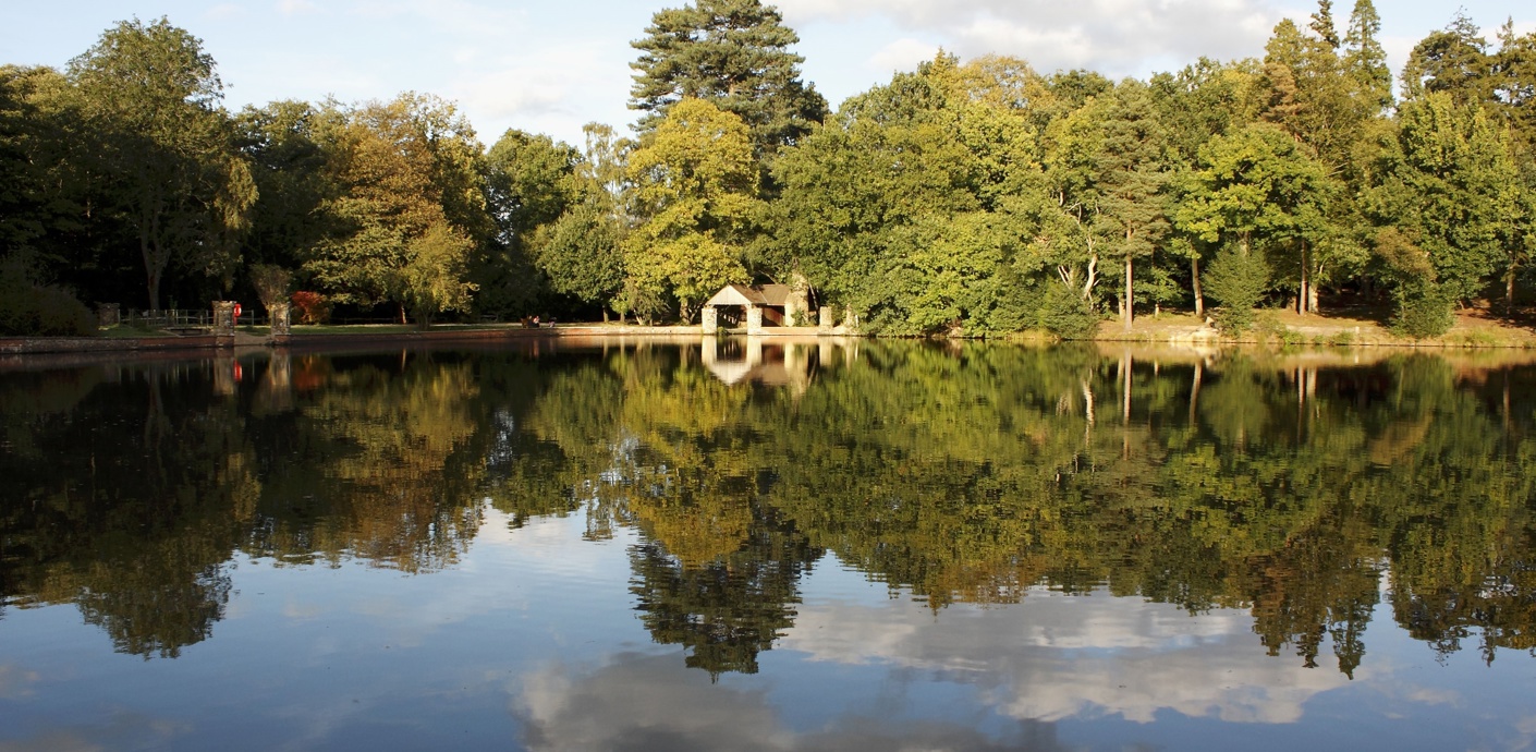 nojs A pond at Buchan Country Park, Crawley