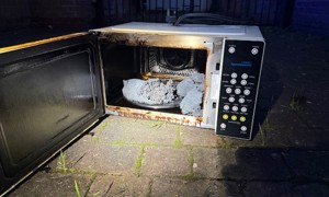Remains of a wheat bag in a fire damaged microwave