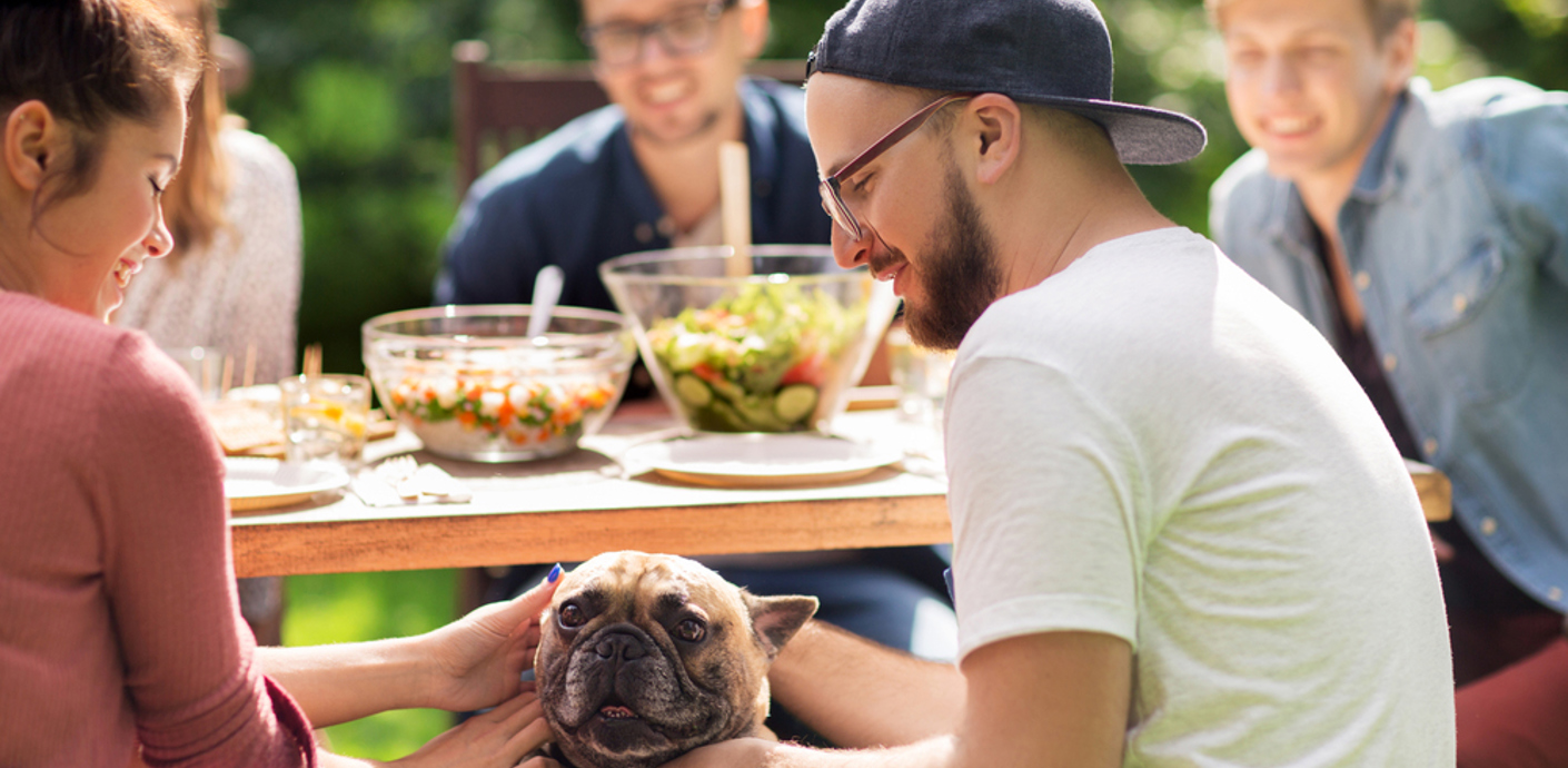 nojs A group of young adults and a terrier dog around a picnic table.