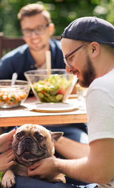 A group of young adults and a terrier dog around a picnic table.
