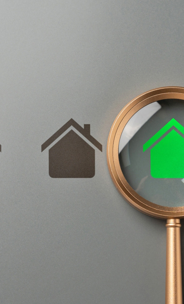 Little house symbols in black colour with one in green underneath a magnifying glass.