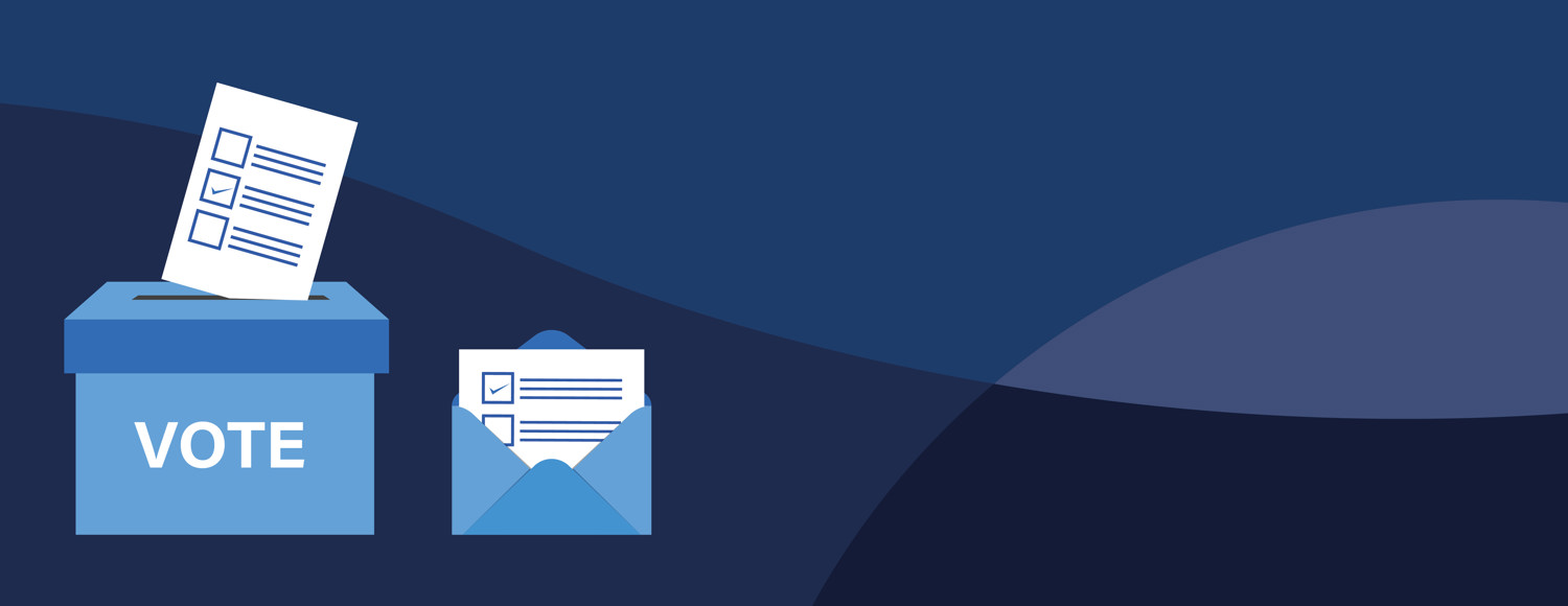 COUNTY COUNCIL ELECTIONS