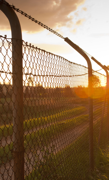 High barbed wire fence on the left hand side of the picture, with a tree and sunshine on the right.