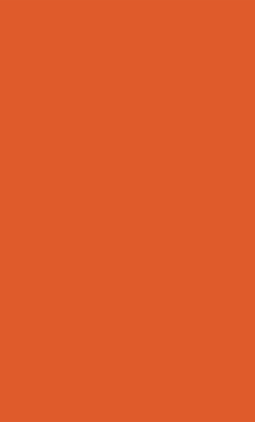 Symbol of a flame on orange background